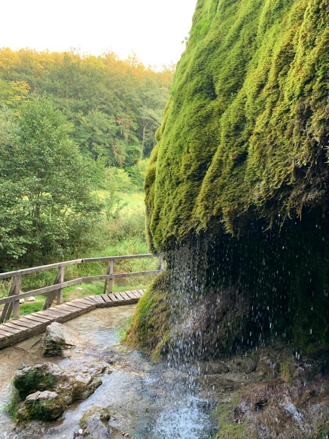 Backesgarten Fuer 22 Personen